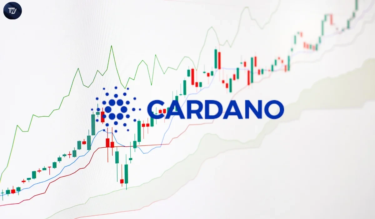 Cardano