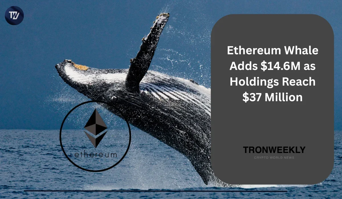 Ethereum Whale Adds $14.6M as Holdings Reach $37 Million