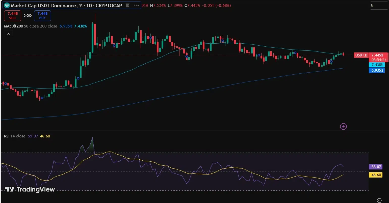 Chart Reflects Stable USDT Payment Adoption Trends