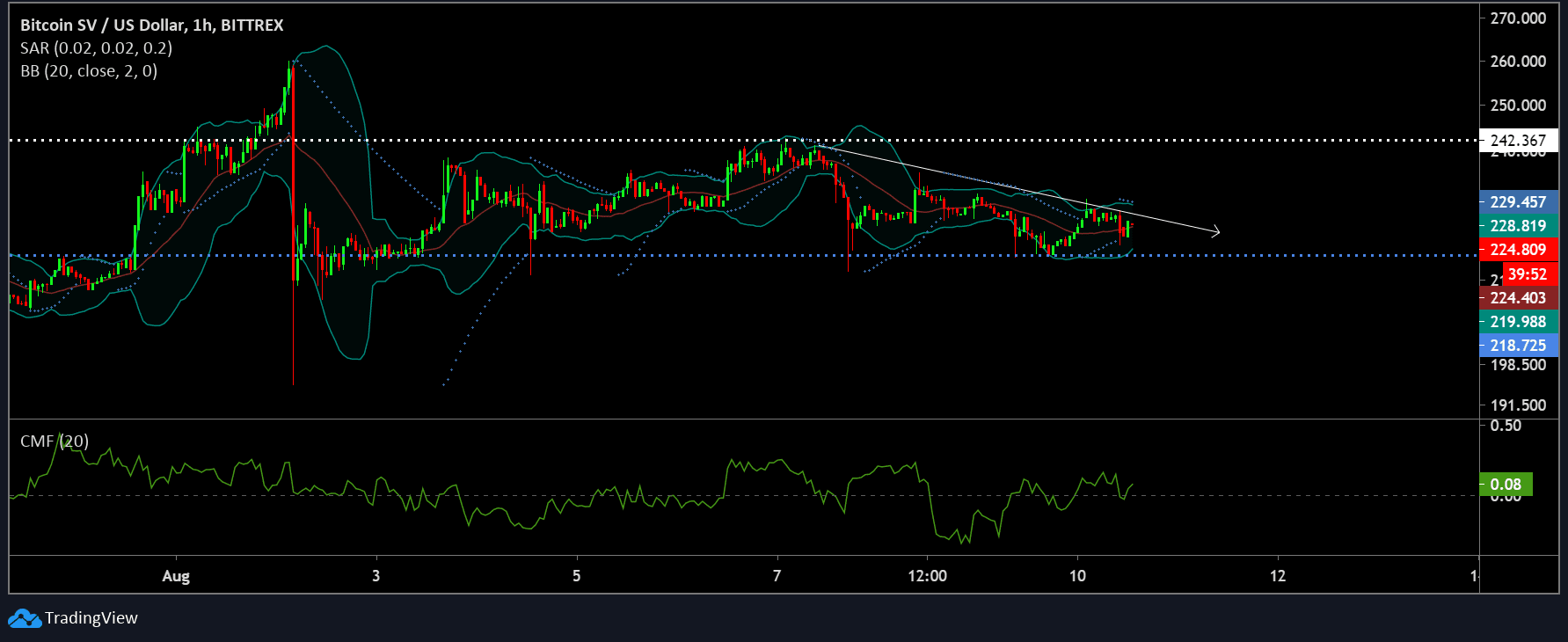 bitcoin SV analysis