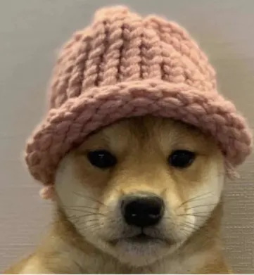 Dogwifhat