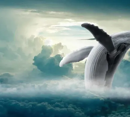 Bitcoin Whale Emerge From Its 10-Year Slumber; Moves $37M BTC Tokens