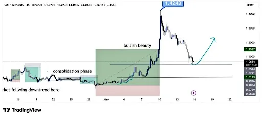 SUI Support Test Could Trigger Renewed Momentum