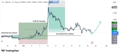 SUI Price Recovery Signals Strength After Accumulation