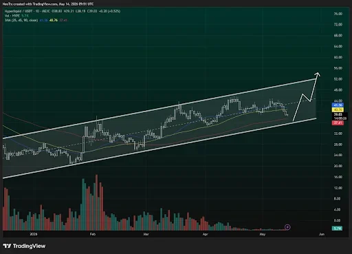 HYPE Price Support Retest Could Fuel a Rally to $52