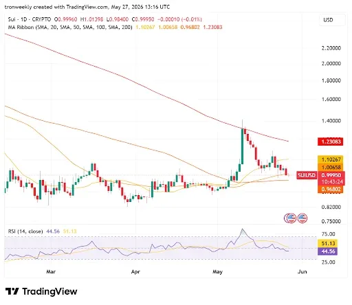 SUI Price Action Points to Consolidation Phase