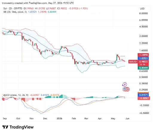 SUI Price Structure Points to Consolidation Phase