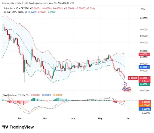 SHIB Price Structure Points to Downward Pressure