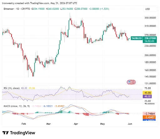 RSI and MACD Point to a Consolidation Phase