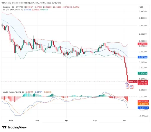 Bears Maintain Control Below Key Support