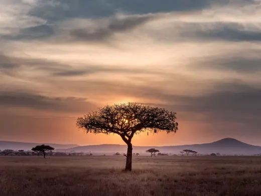 Tanzania