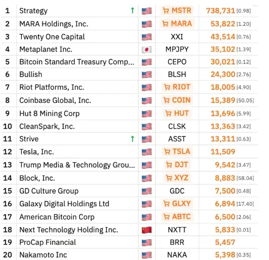 Top 20 Bitcoin treasury companies