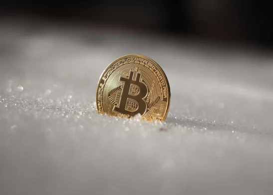 "Bitcoin Will Survive But Crypto Winter Might Last Long"- Elon Musk