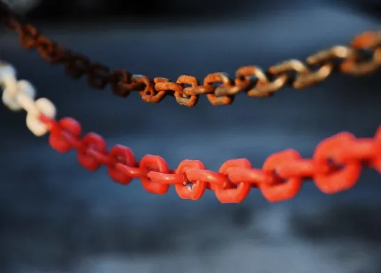 Ripple's EVM Sidechain On XRPL Set To Have "Best Of Both Worlds"
