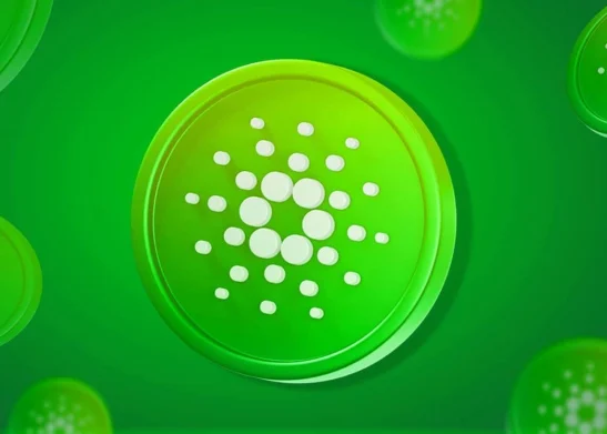 Cardano's Sharks Have Added $79M ADA As Whales Lays Flat