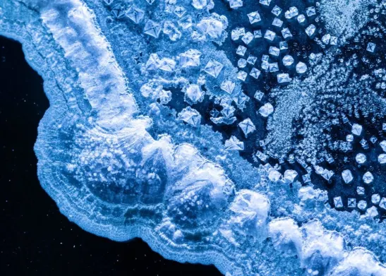 Binance Freezes LUNA, UST Withdrawals Amid Market Bloodbath