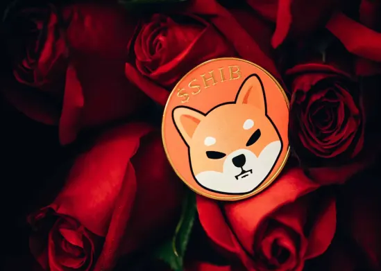 Shiba Inu's Shytoshi Kusama- "Won't Stop Shibarium Whatsoever"
