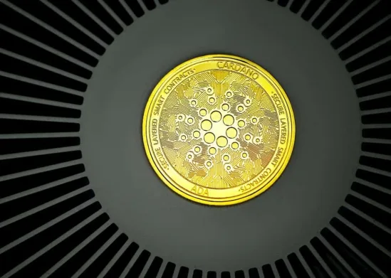 Cardano Founder Corrected User On ADA's Worth In Jan 2021