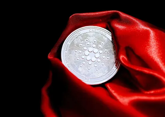 Does Cardano Overtly Focus On Theory And Ignore Utility?