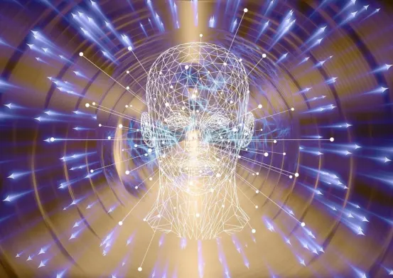 Meta Exec-"We have the opportunity to shape the global metaverse"