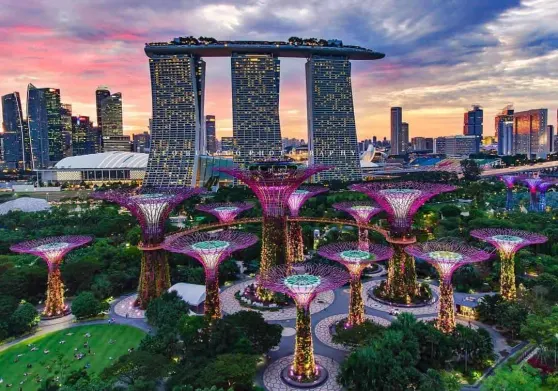 Singapore Court Following a Dispute, Barred the Sale of Bored Ape Yacht Club NFTs
