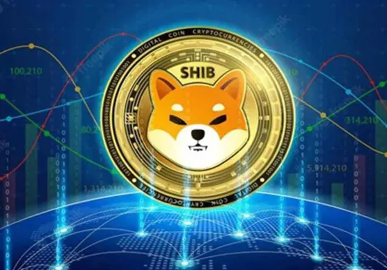 Shiba Inu