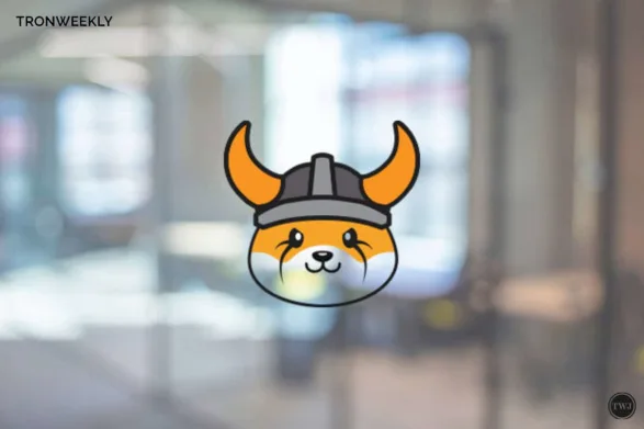 Floki