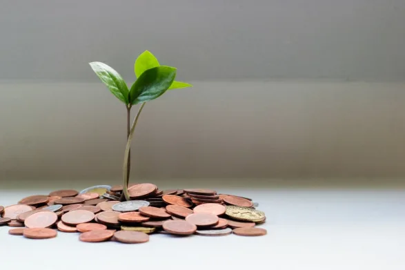 Here's how Algorand Foundation plans to boost DeFi innovation with $300M fund