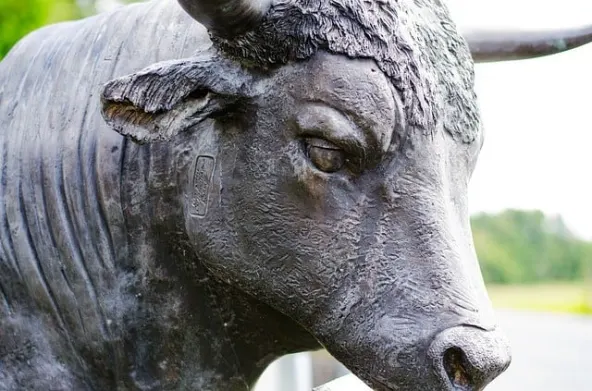 Cardano
