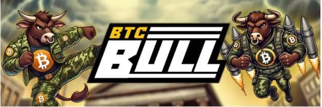 BTC Bull Run