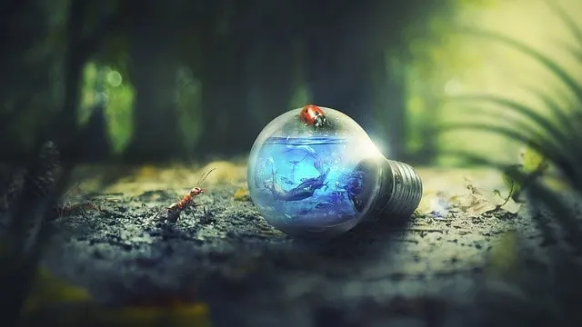 Cardano