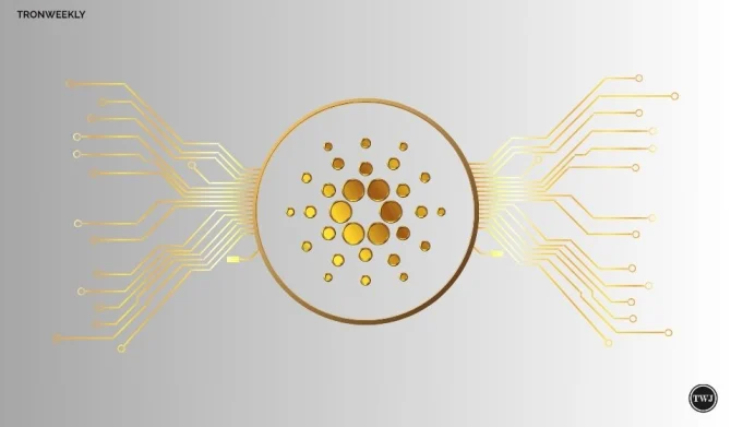 Cardano