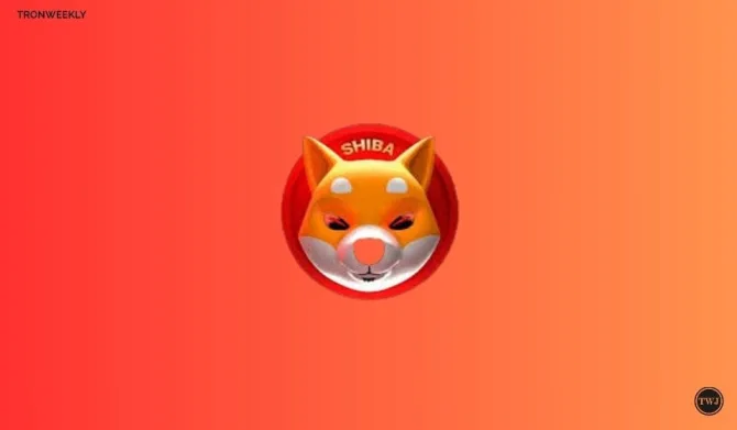 Shiba Inu