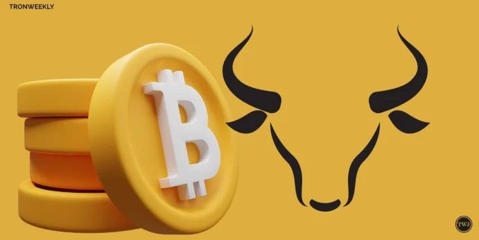 Bull Bitcoin