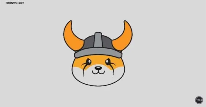 FLOKI