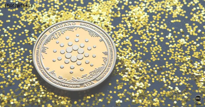Cardano
