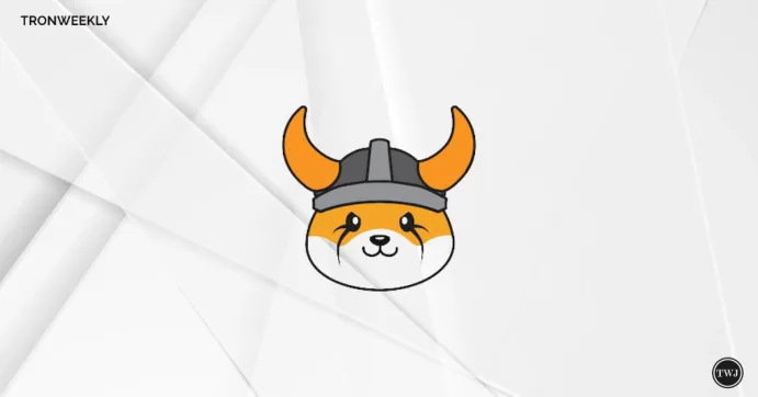 FLOKI