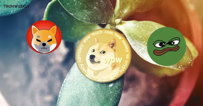 DOGE