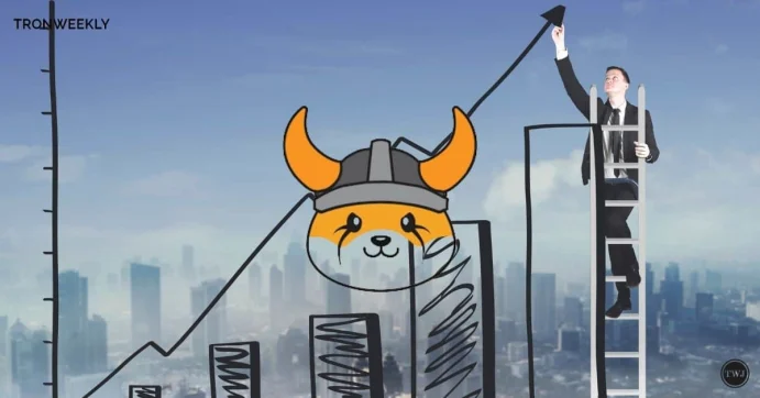 Floki Inu