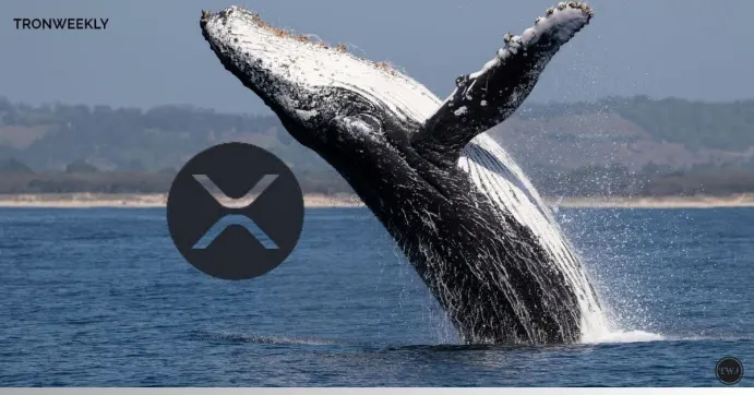 XRP