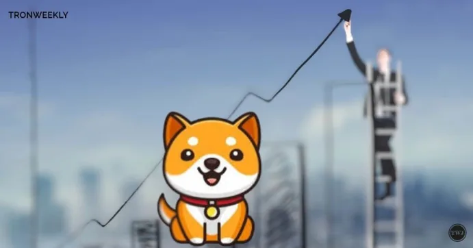 Baby Doge