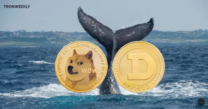 DOGE