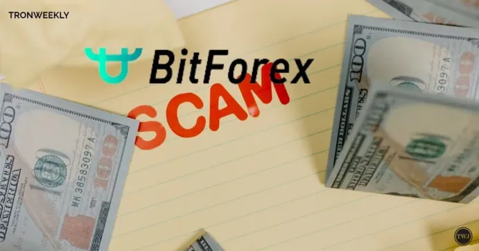 Bitforex