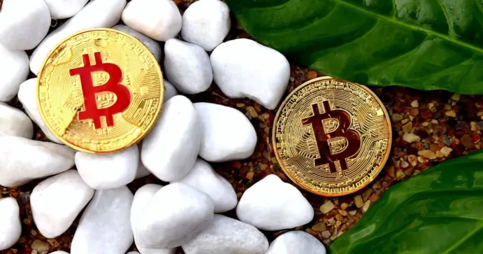 Bitcoin's Active Address Gather Steam, 1.7M In 8 Weeks