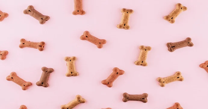 Shiba Inu: Shibarium Team Clears Confusion Over BONE Token