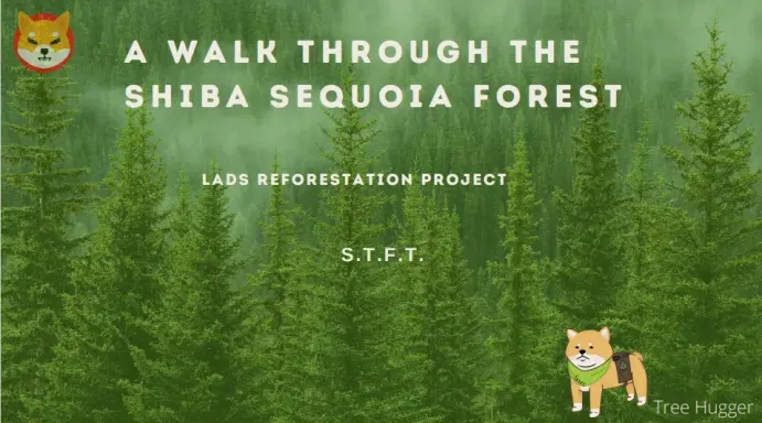 Shiba Inu’s Shibafest Will Reign Over Michigan