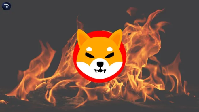 Shiba Inu