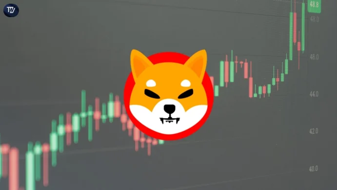 Shiba Inu