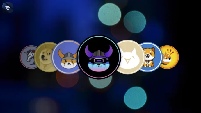 Meme Coin