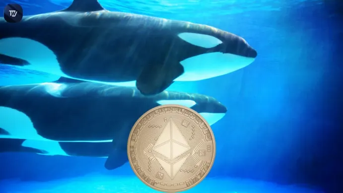 Ethereum